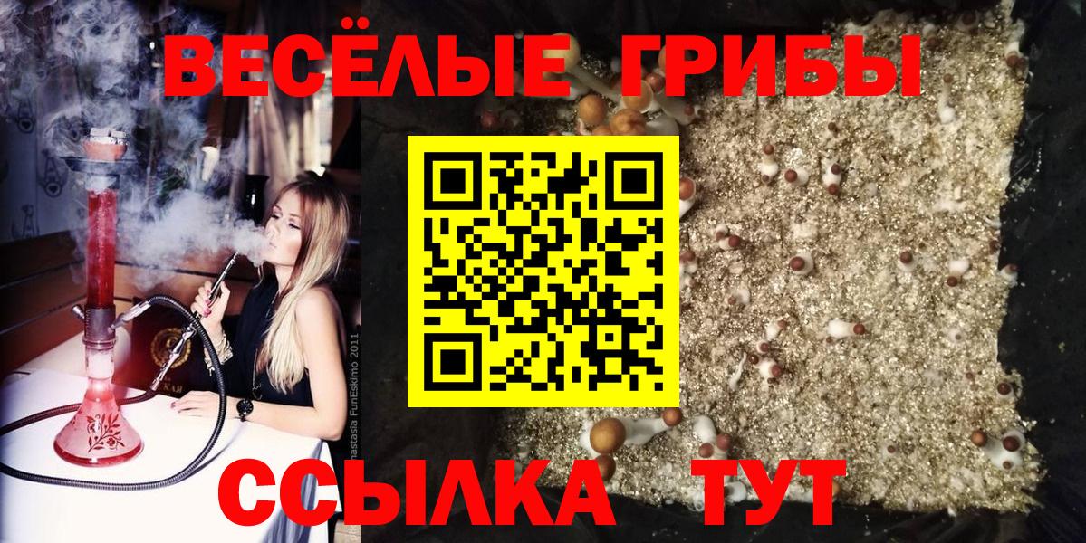 Реутов  Псилоцибиновые грибы GOLDEN TEACHER  Вход с VPN 