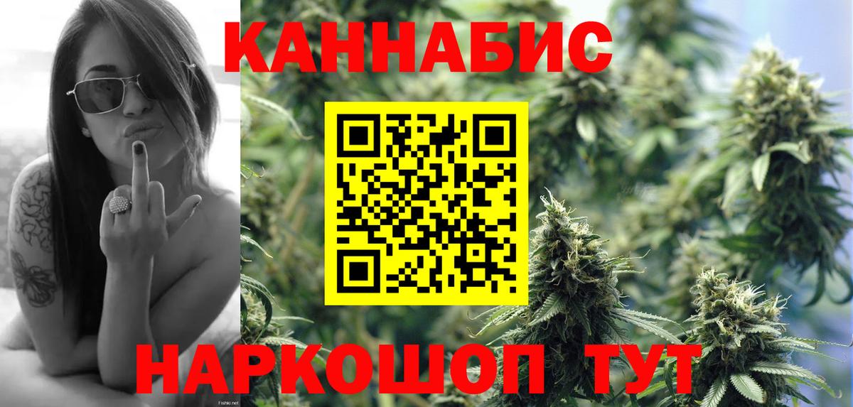 Марихуана планчик  Вход с VPN  Реутов  Марихуана OG Kush  Бошки Шишки VHQ 